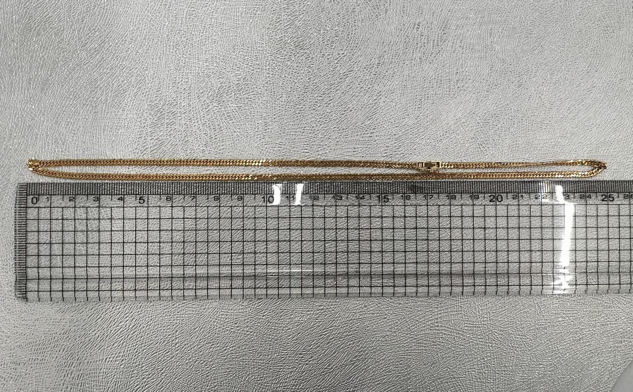 長さ約50cm。
