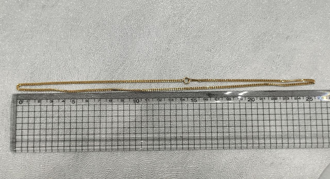 長さ約50cm。