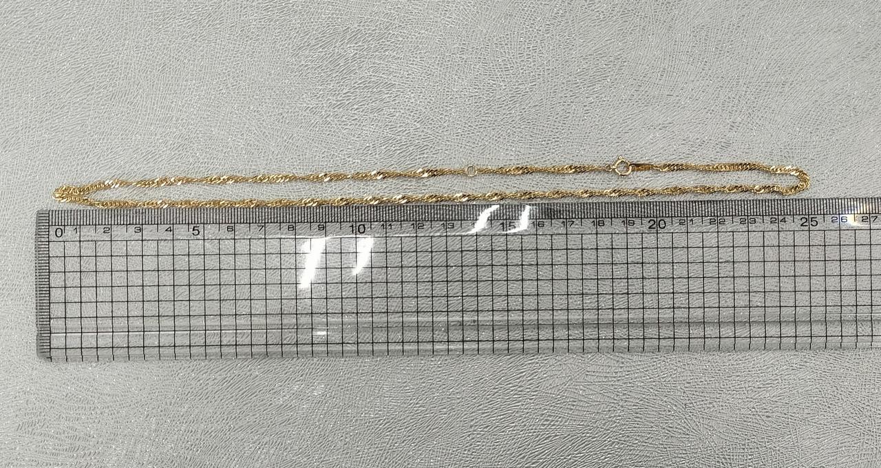 長さ約50cm。