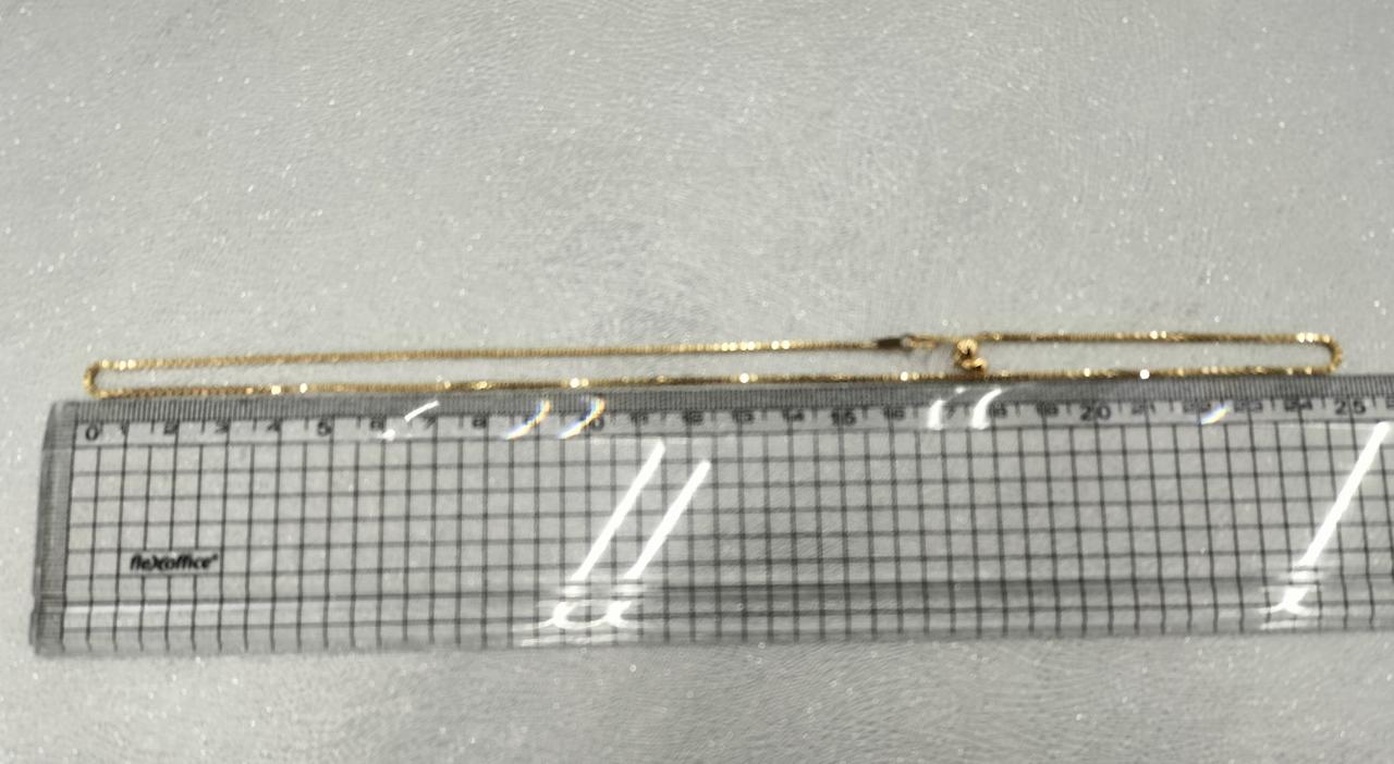 長さ約50cm。
