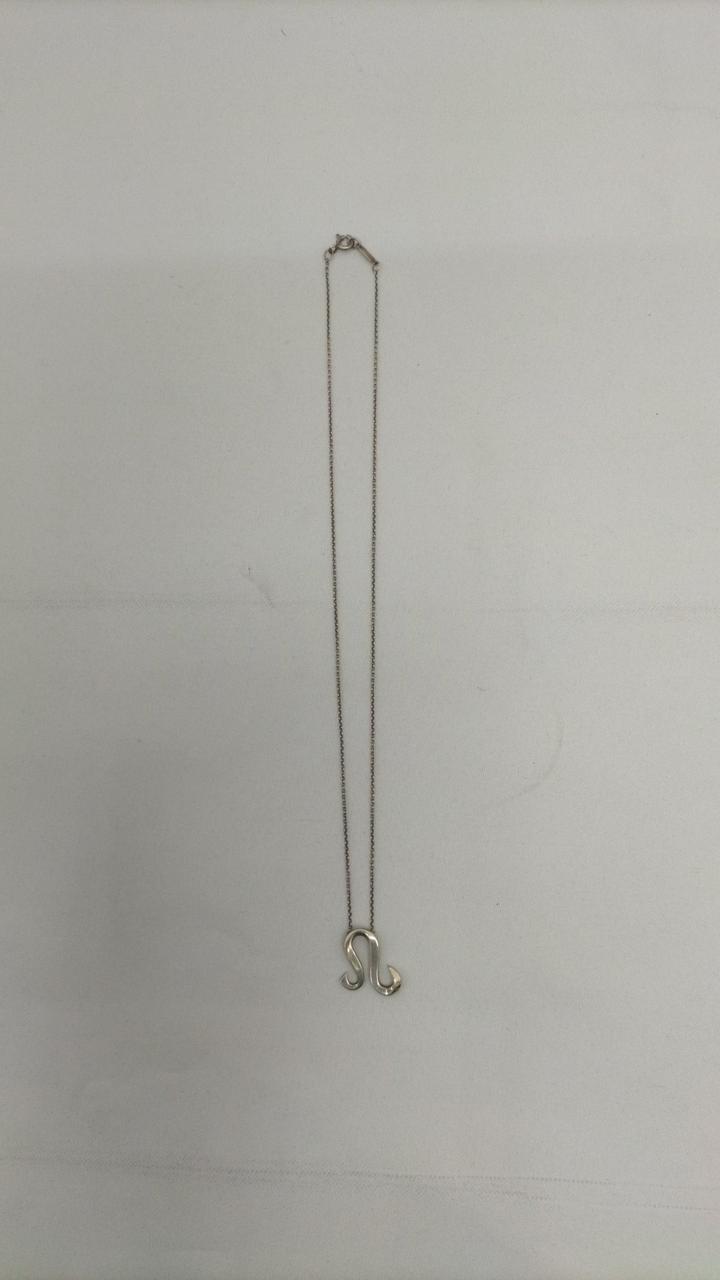 TIFFANY  獅子座ネックレス 9,636円