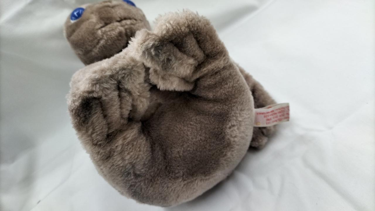 足裏、お尻よごれあり