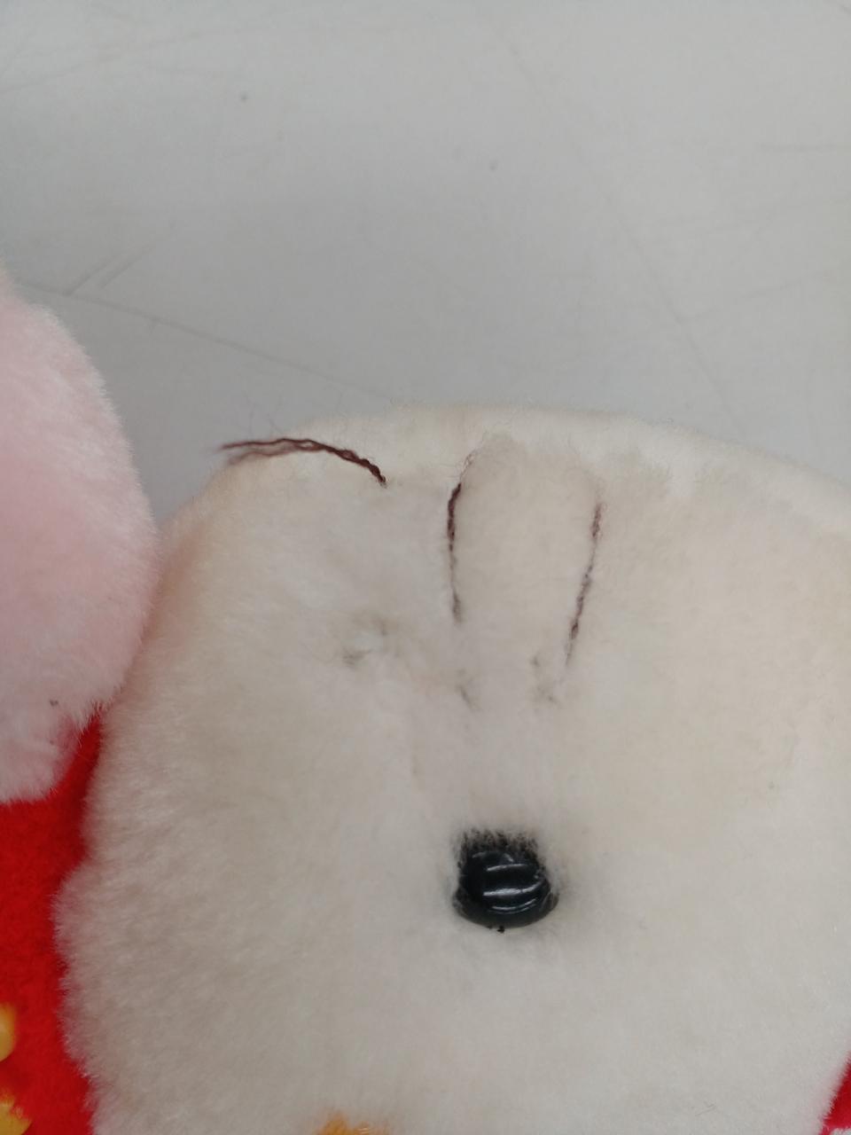 ひげの縫い込み取れてます。