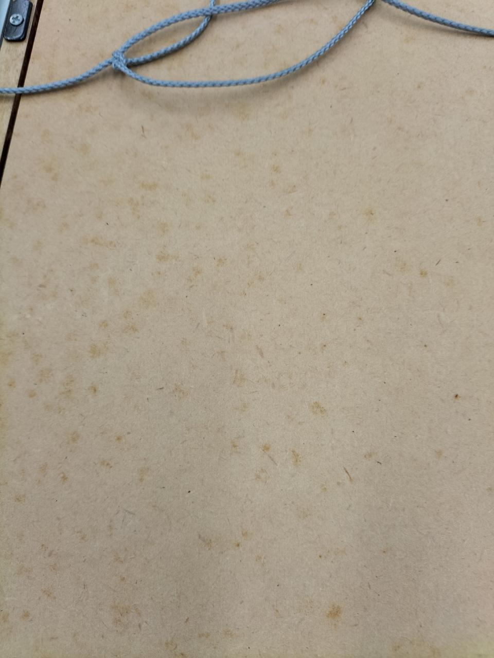 裏面
全体的にシミあり
