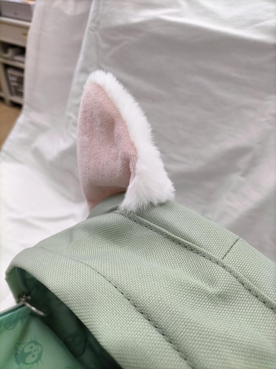 美品　ディズニーシー　ジェラトーニ　リュック ディズニーシージェラトーニリュック