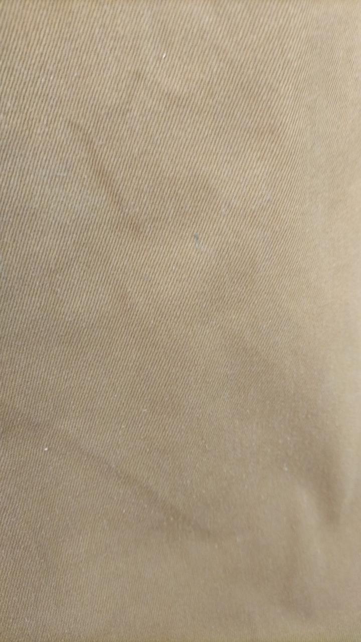 若干の毛玉有ります。