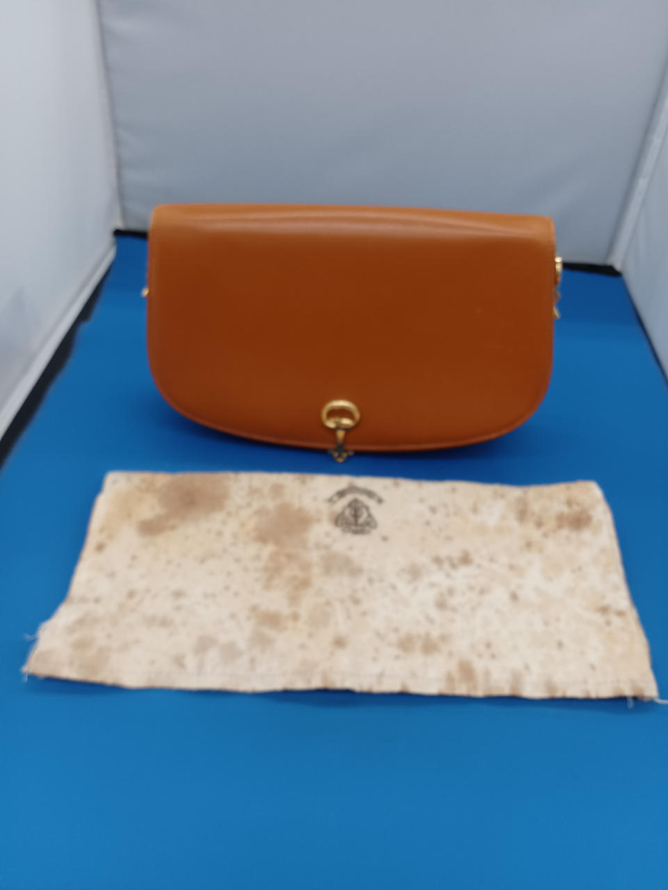 保存袋付き  しみあり