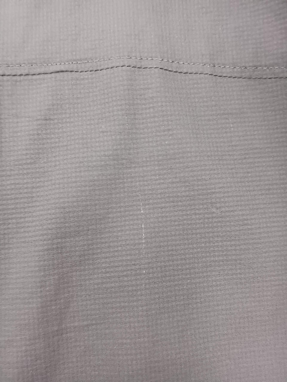 背中に白い汚れ 長さ3cm程度 画像1