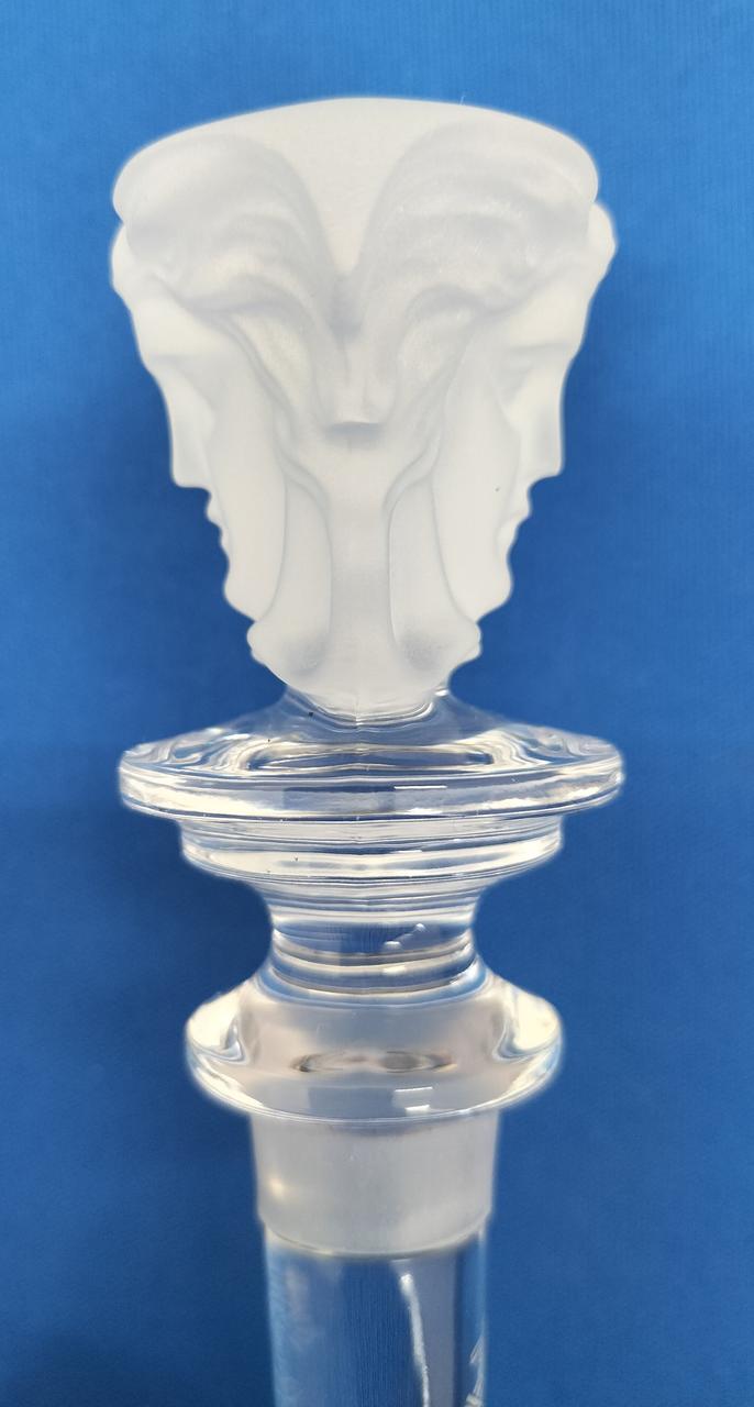ROSENTHAL X VERSACE|ローゼンタール×ヴェルサーチコラボ ワイン