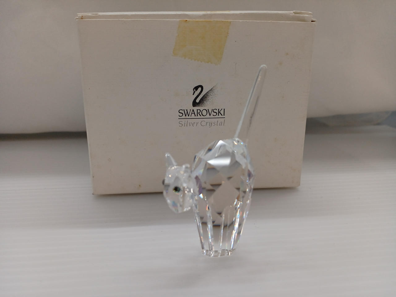 猫のトムです。