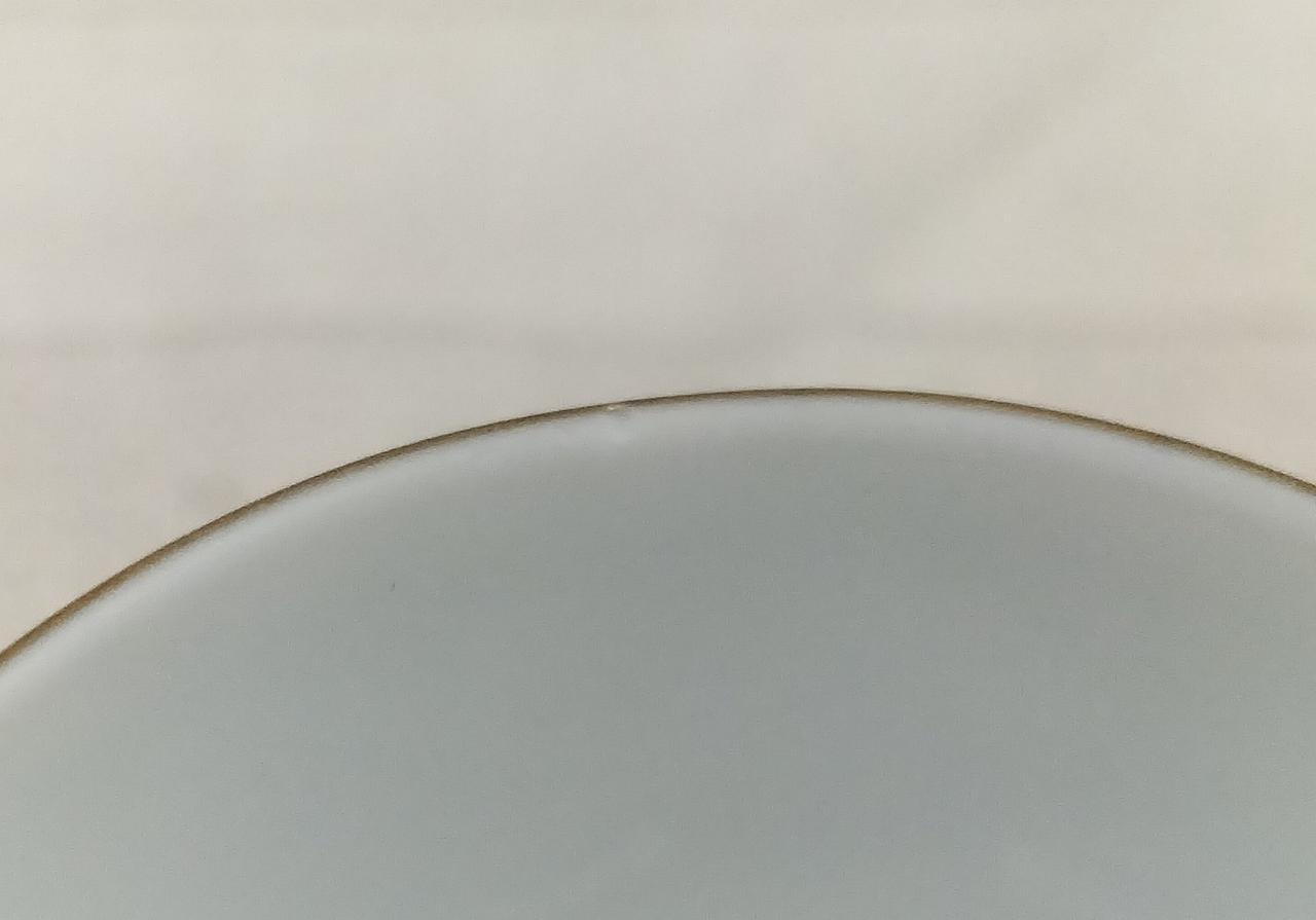 1つだけ淵にチップ