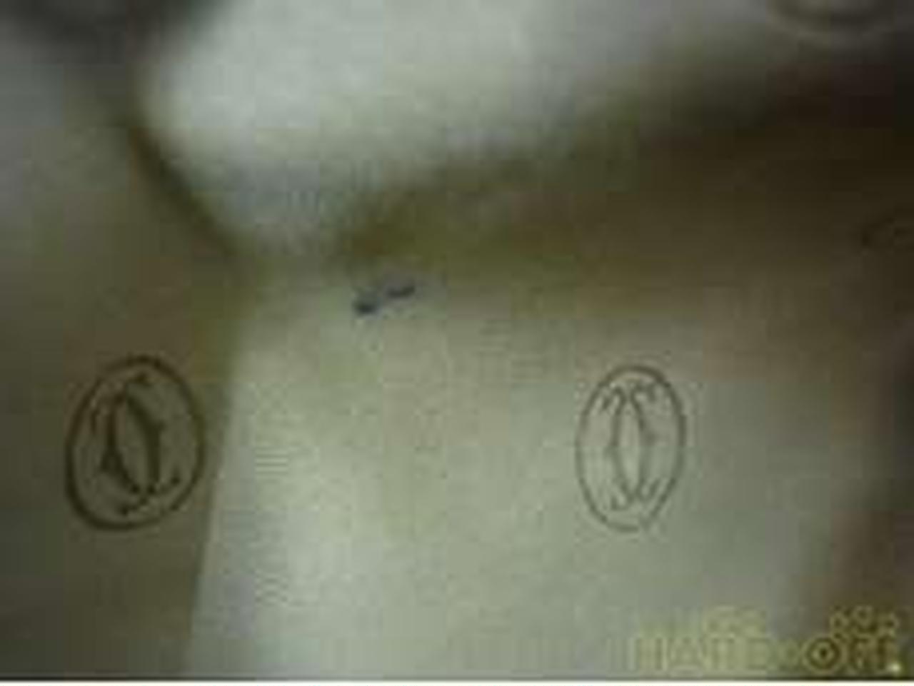 外側ファスナーポケット内部に汚れあり。