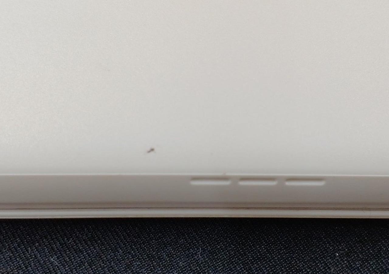 裏面に小さな汚れあります。