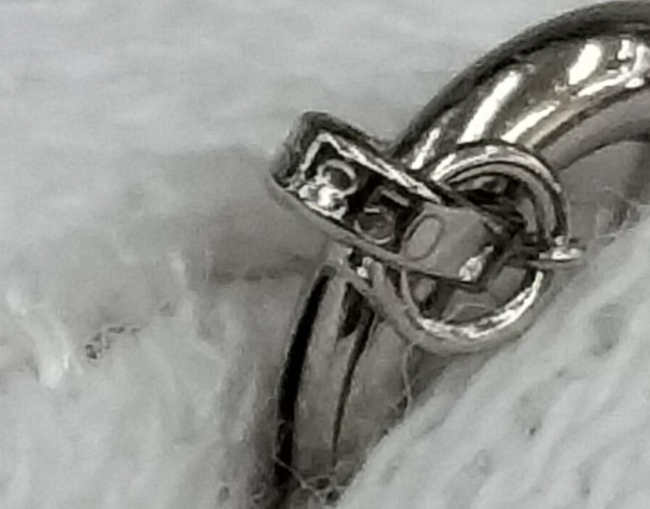 引き輪:PT850刻印あり