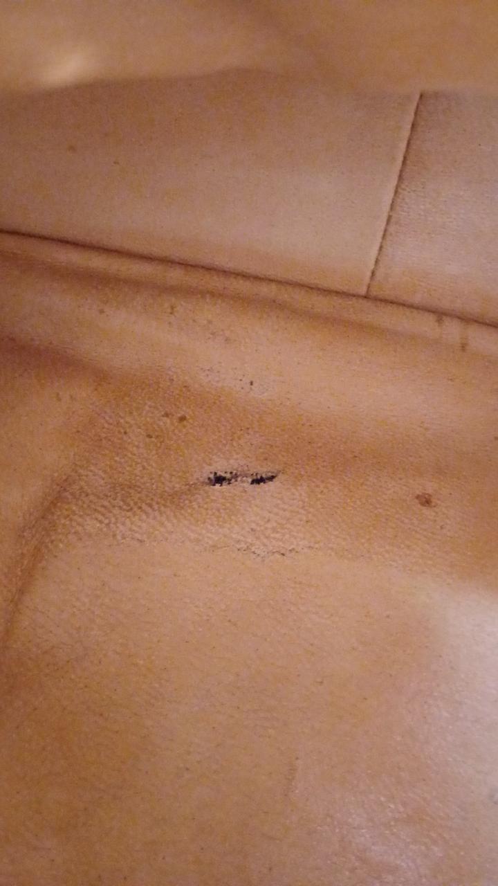 内側小さい破れあり