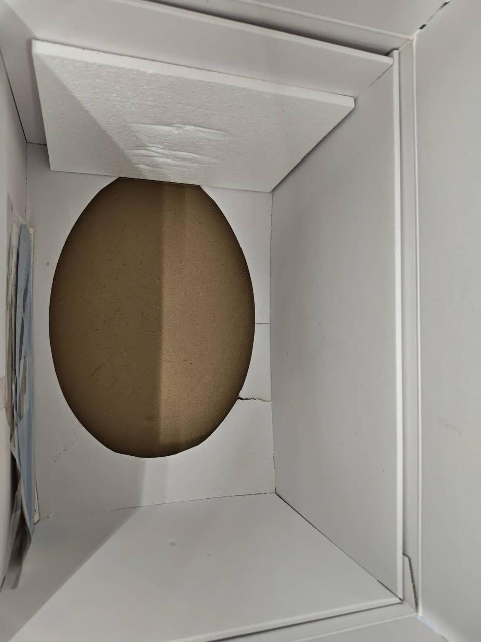 郵送箱内部　一部破れあり