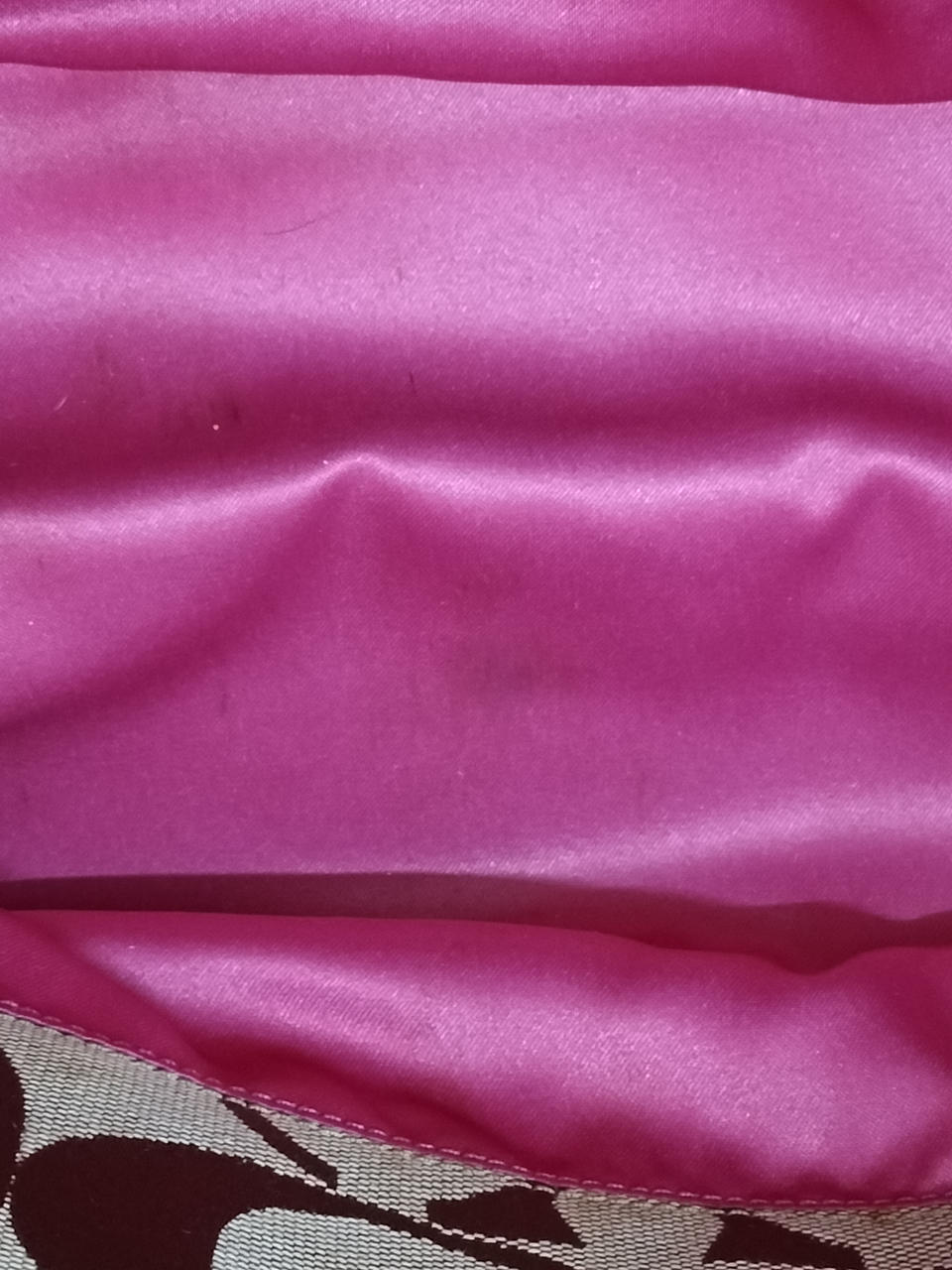 内側にシミあり