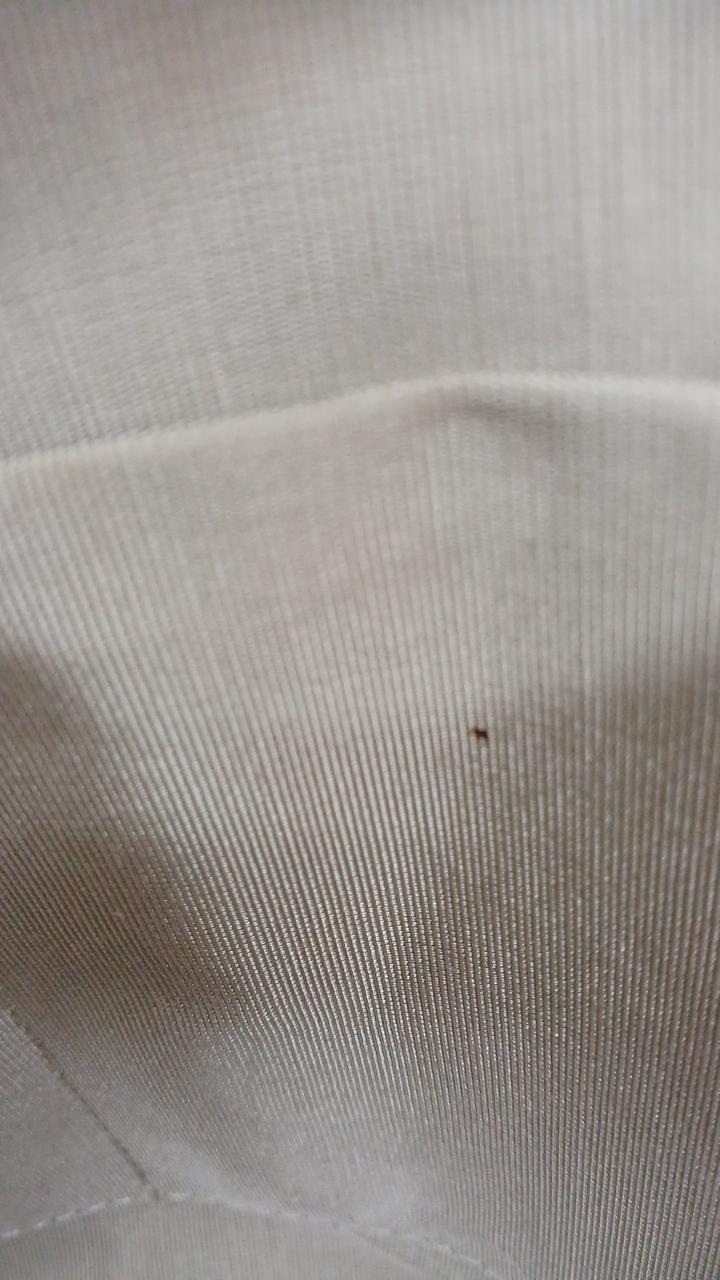 内側ポケット内部に小さな汚れがあります