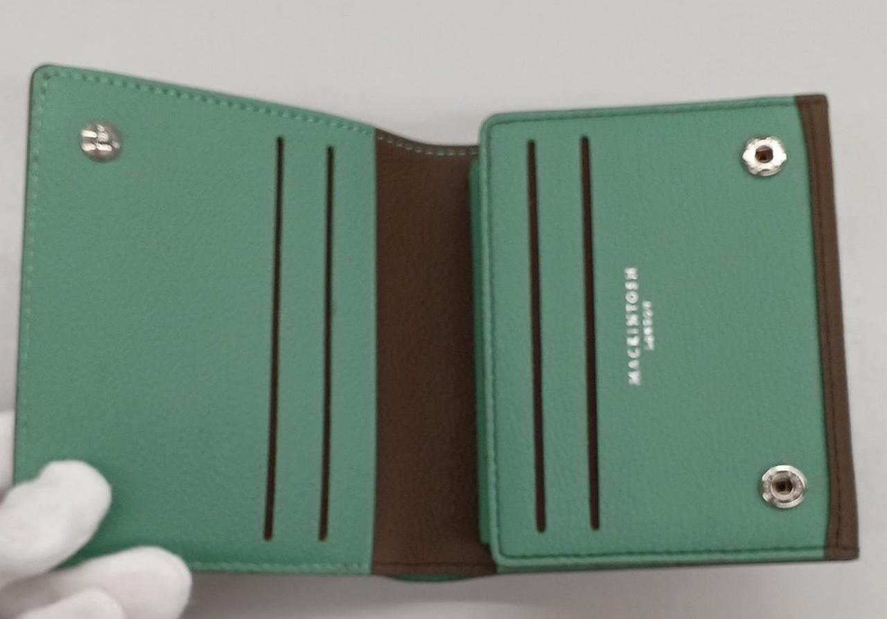 内側はきれいなグリーンです