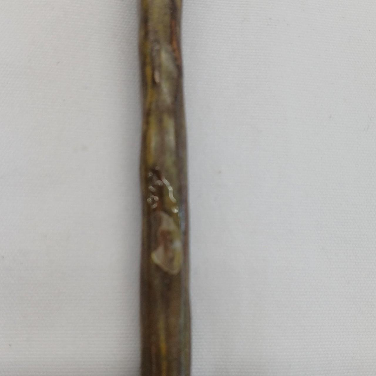 本体から外れており、ノリの跡があります