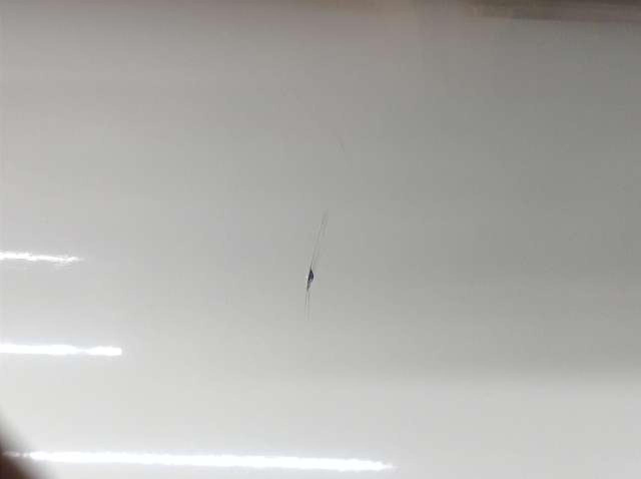 傷がございます。