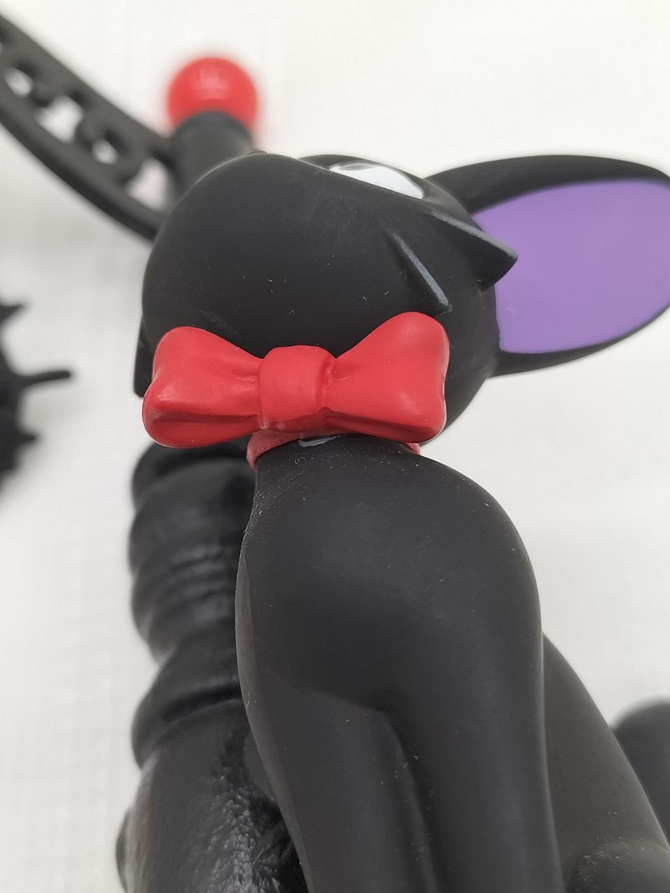 首の付け根辺りに白かけが見られます。