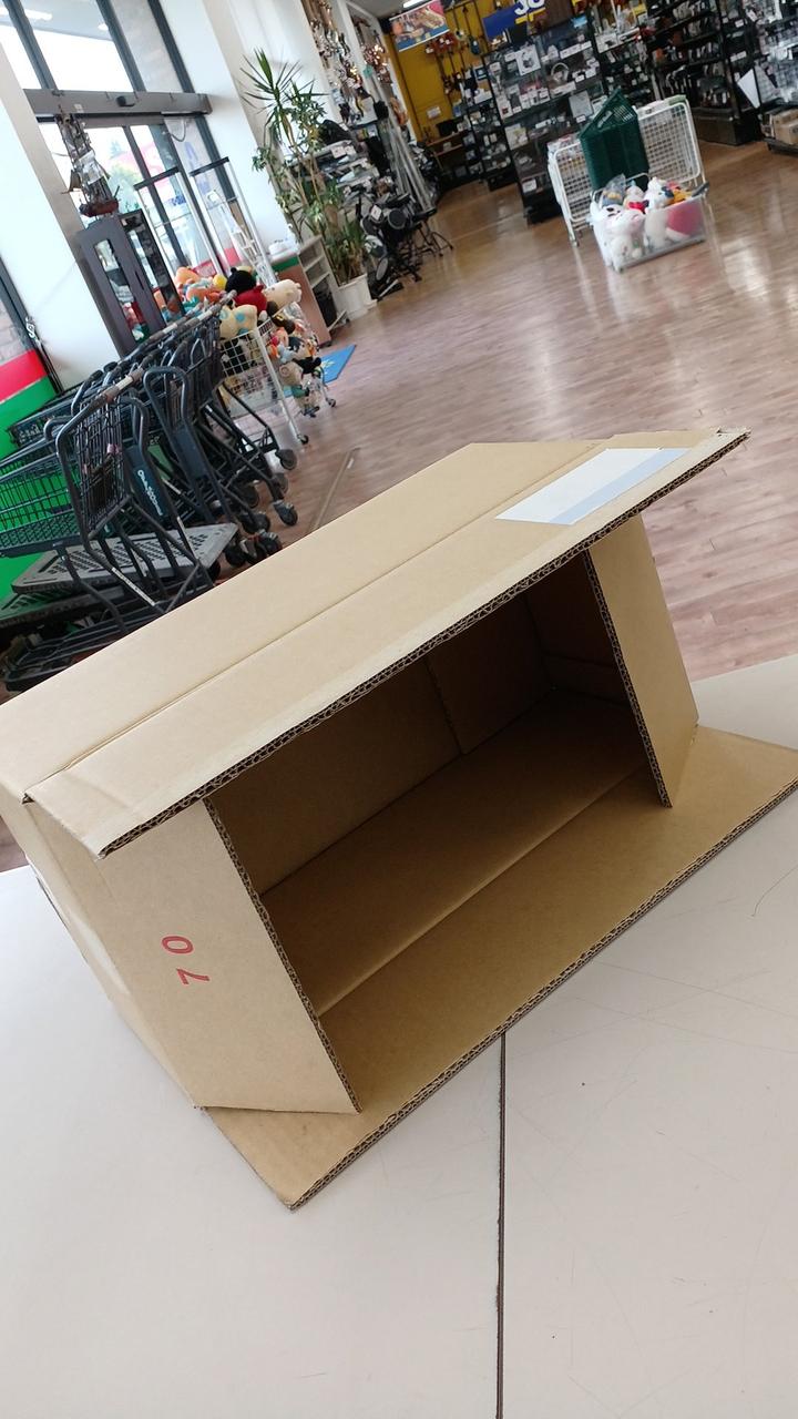 このダンボールでの発送になります(使用品