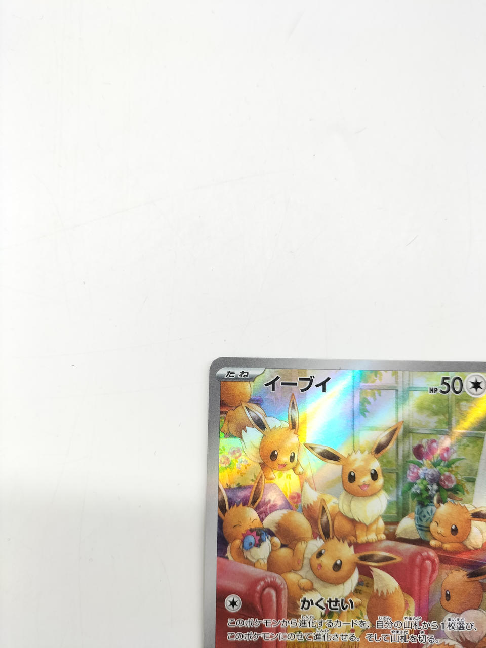 イーブイ ハード】美品]NintendoSwitch ピカチュウ&イーブイ 株式会社