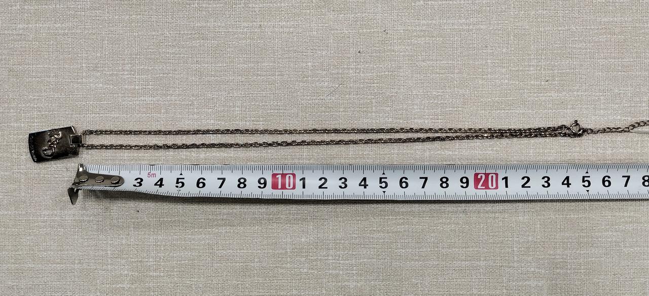 長さは45cmほど。