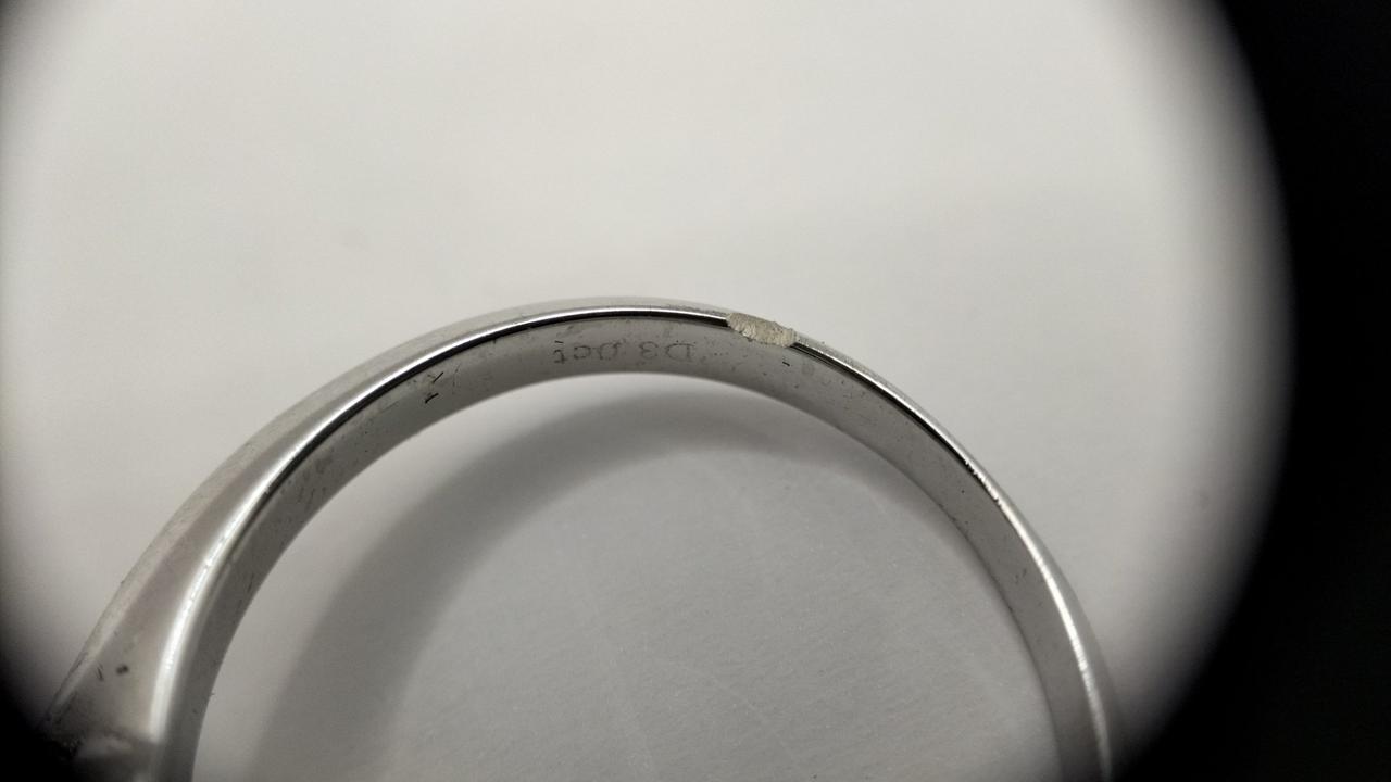 欠けアリ(内側から)