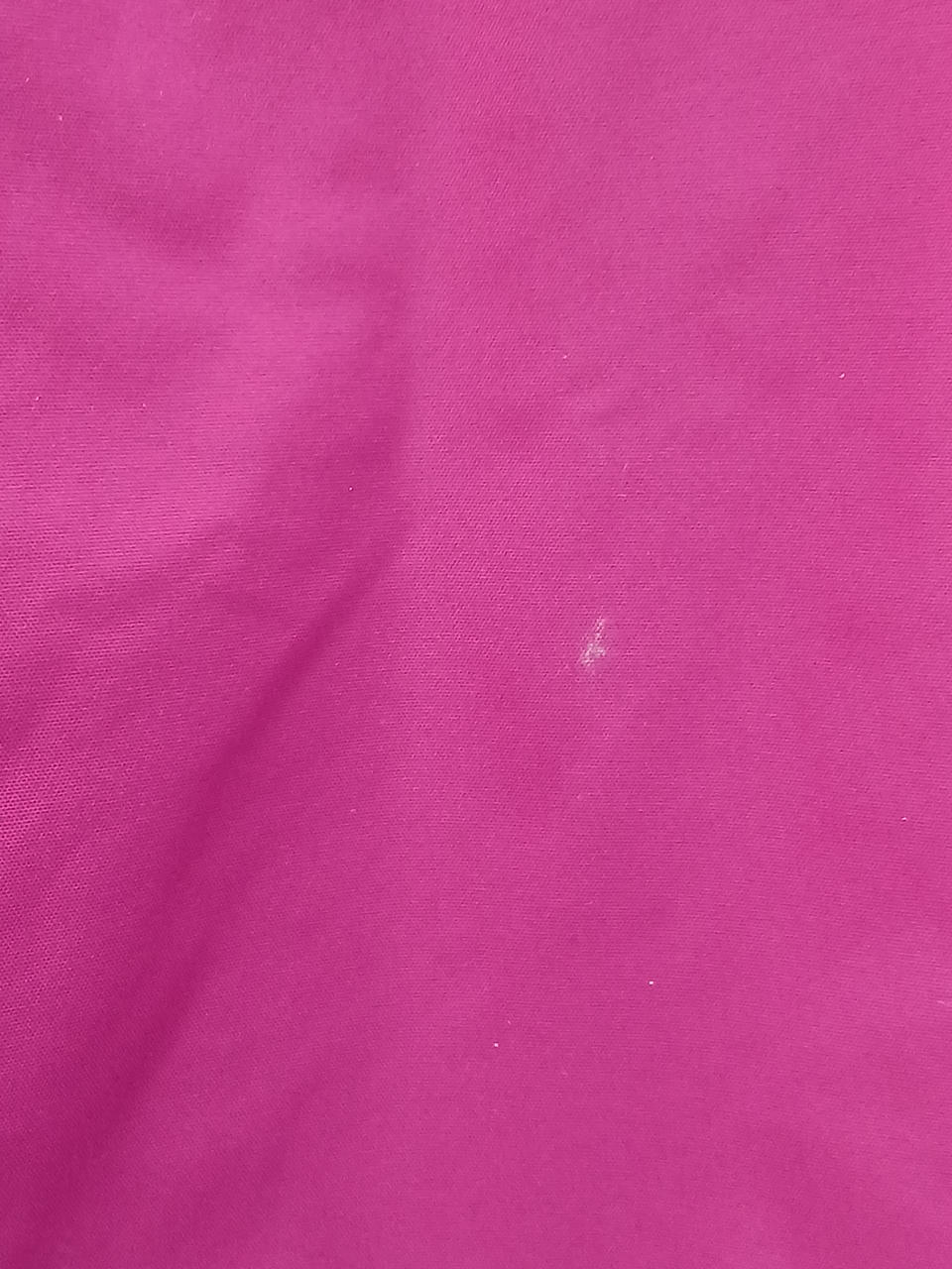 背面　白いシミあり