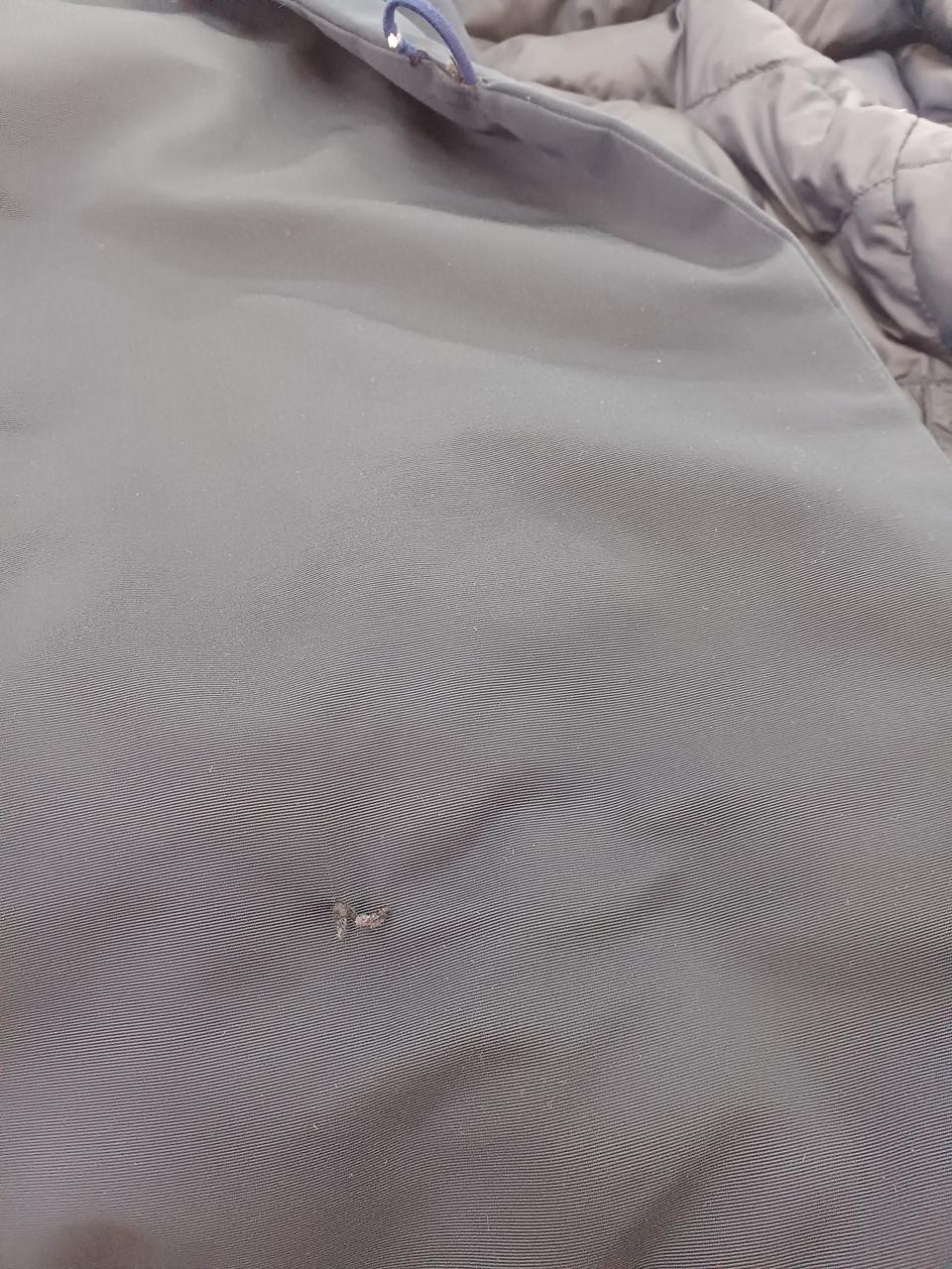 補修跡有り