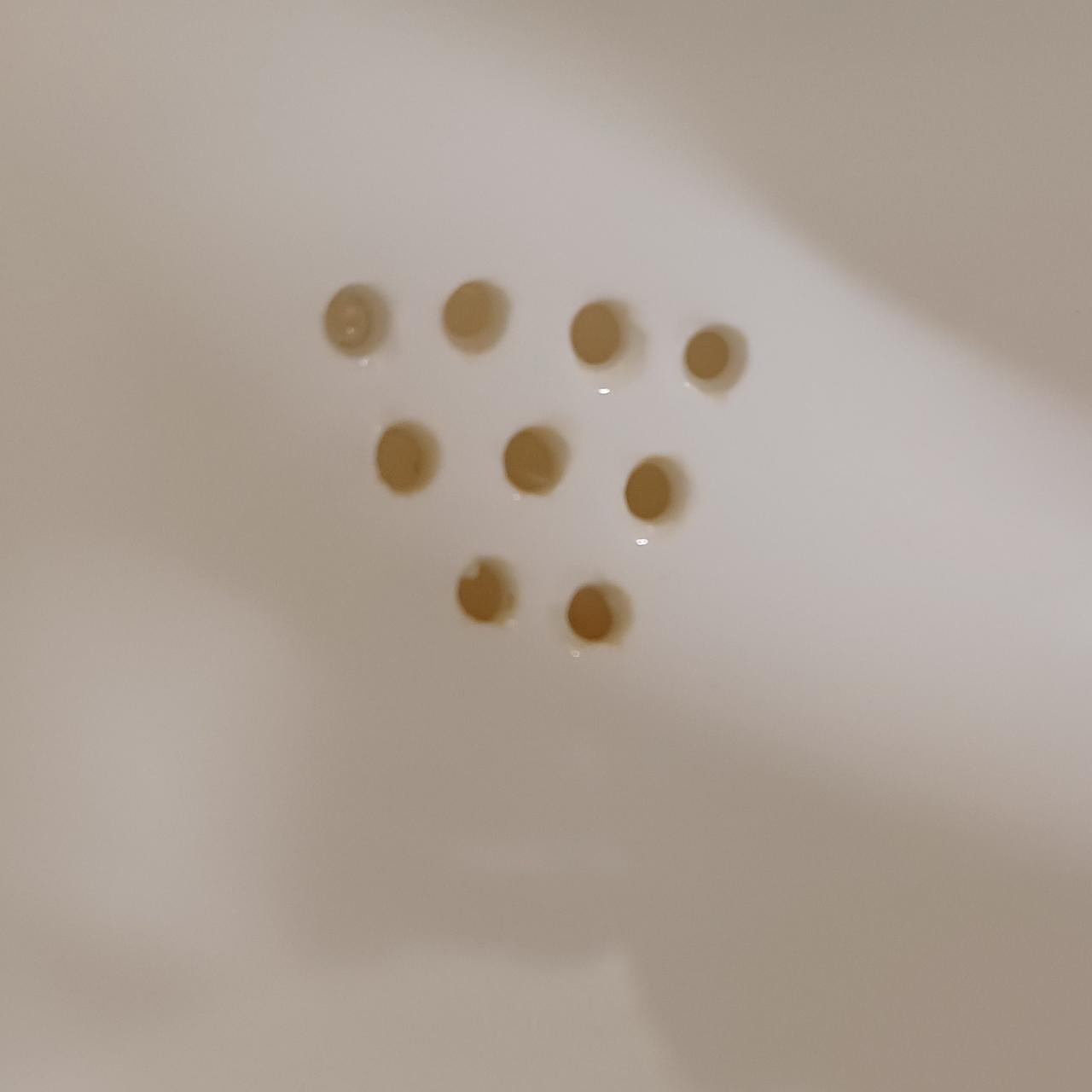 茶渋