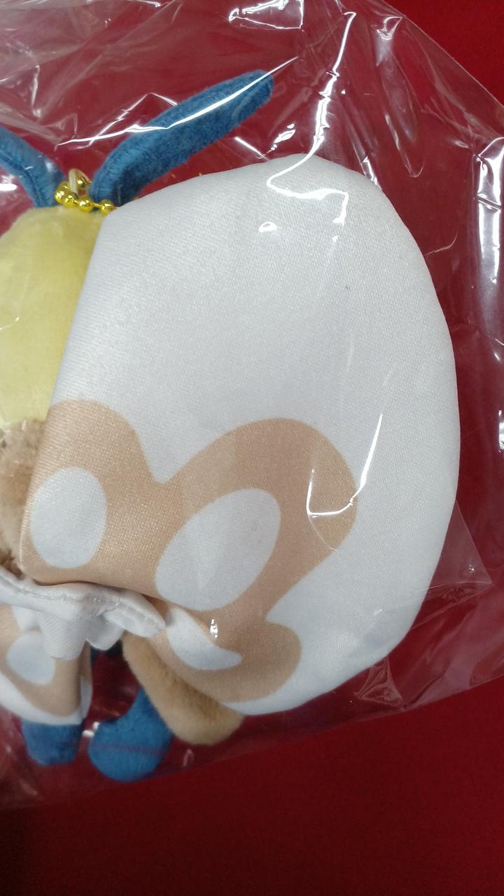 左　比較的きれいです