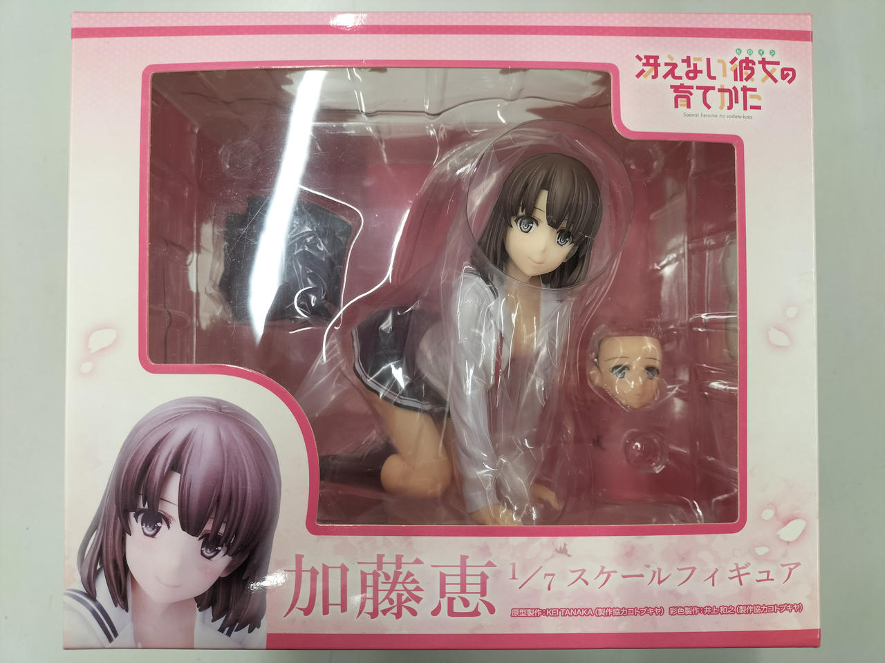 Aniplex 型番：1/7　加藤恵 冴えない彼女の育て方