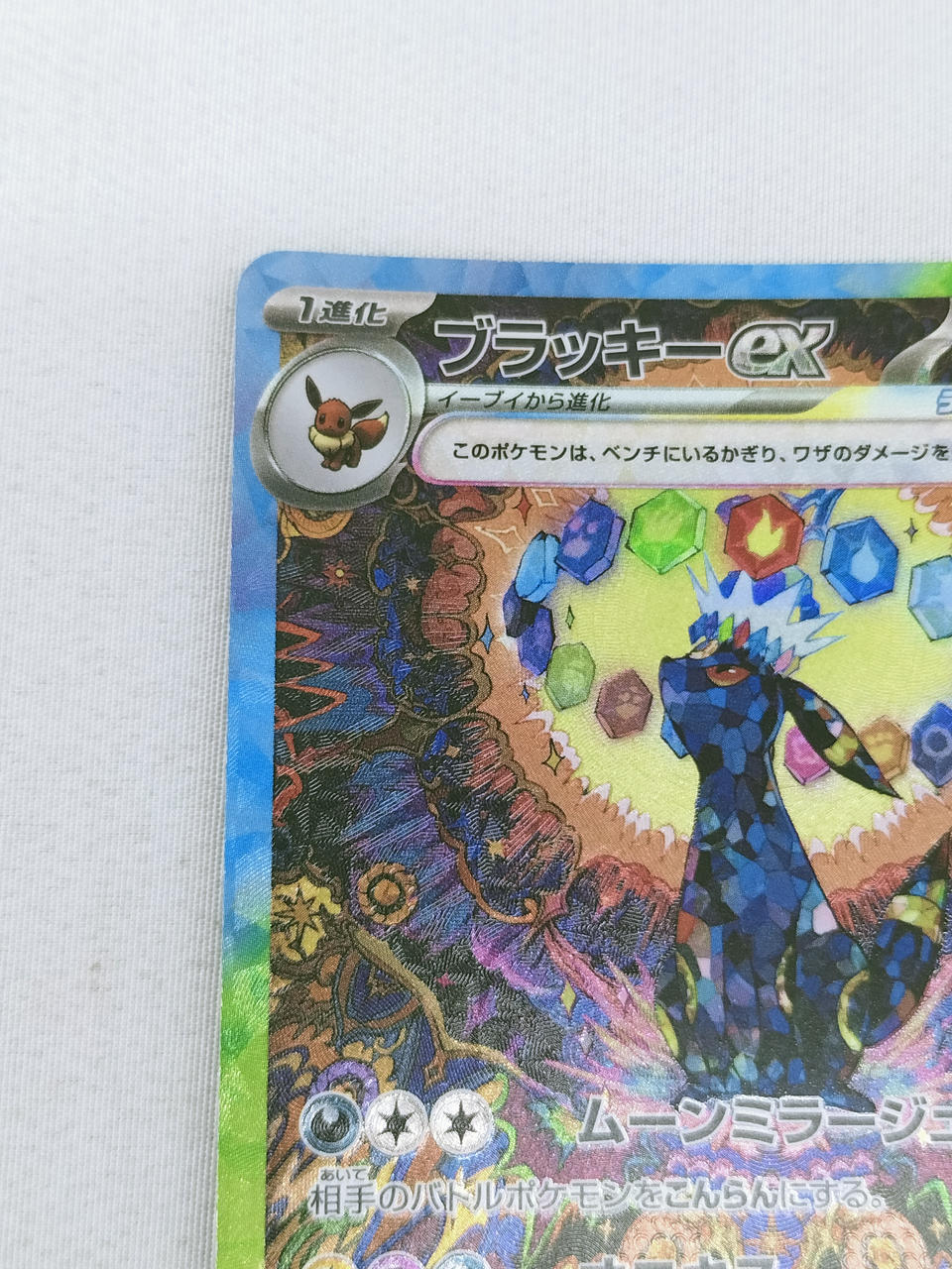 ポケモン|ブラッキーEX|HARDOFFオフモール（オフモ
