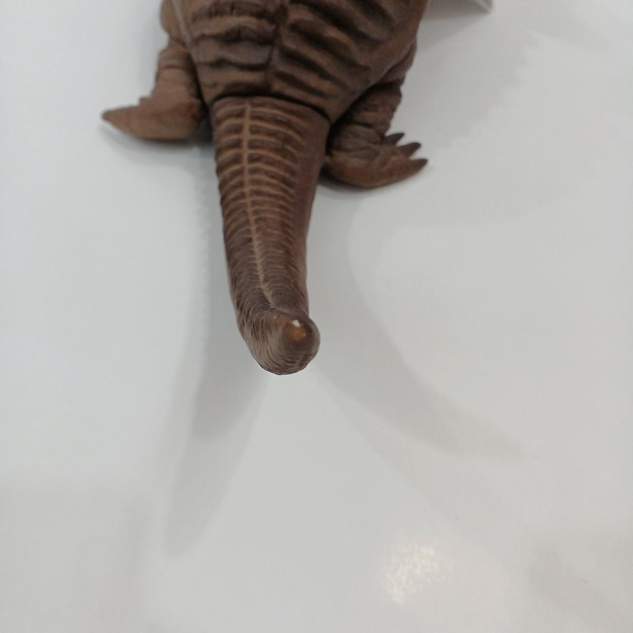 やや色ハゲがあります