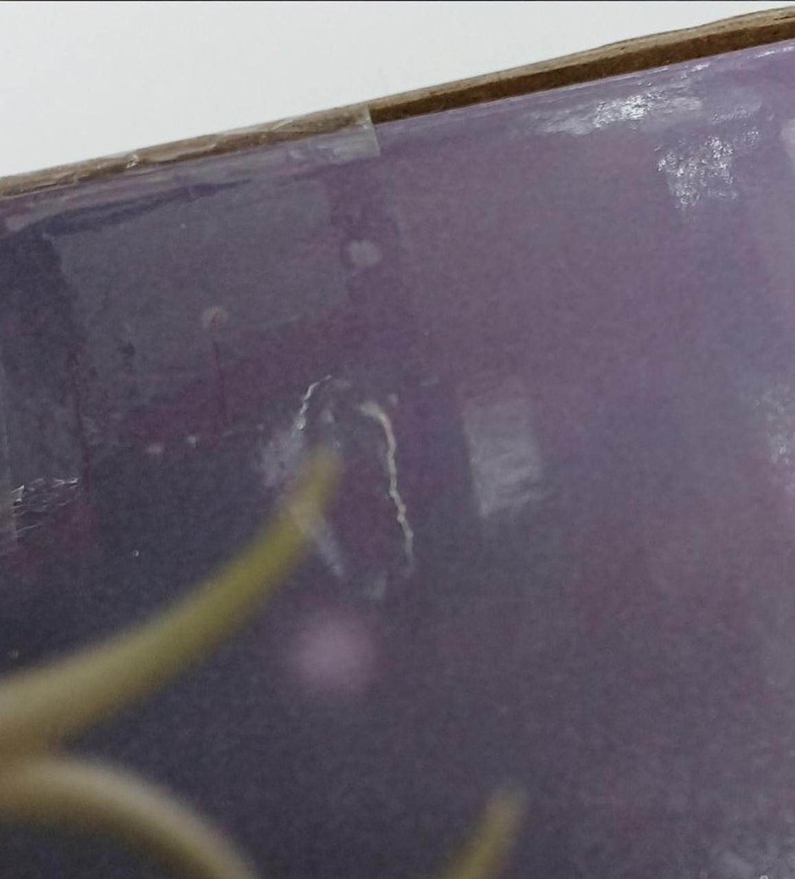 左側面上部傷有