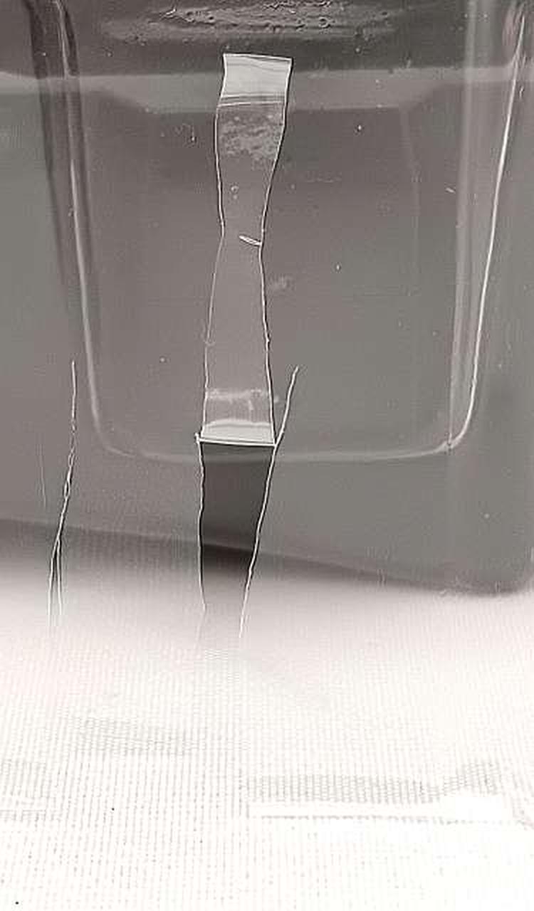 ブリスター傷み有