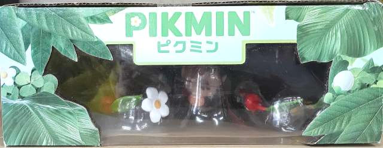 箱日焼け有