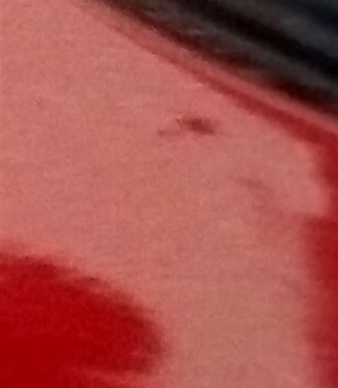 塗装多少劣化有り