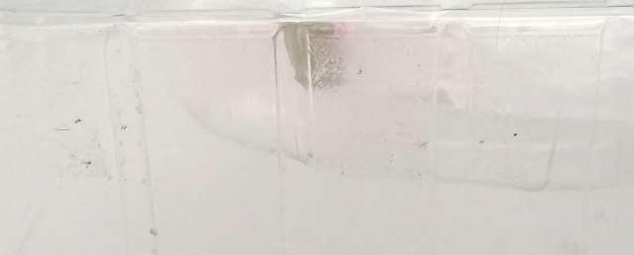 ブリスターシール跡有