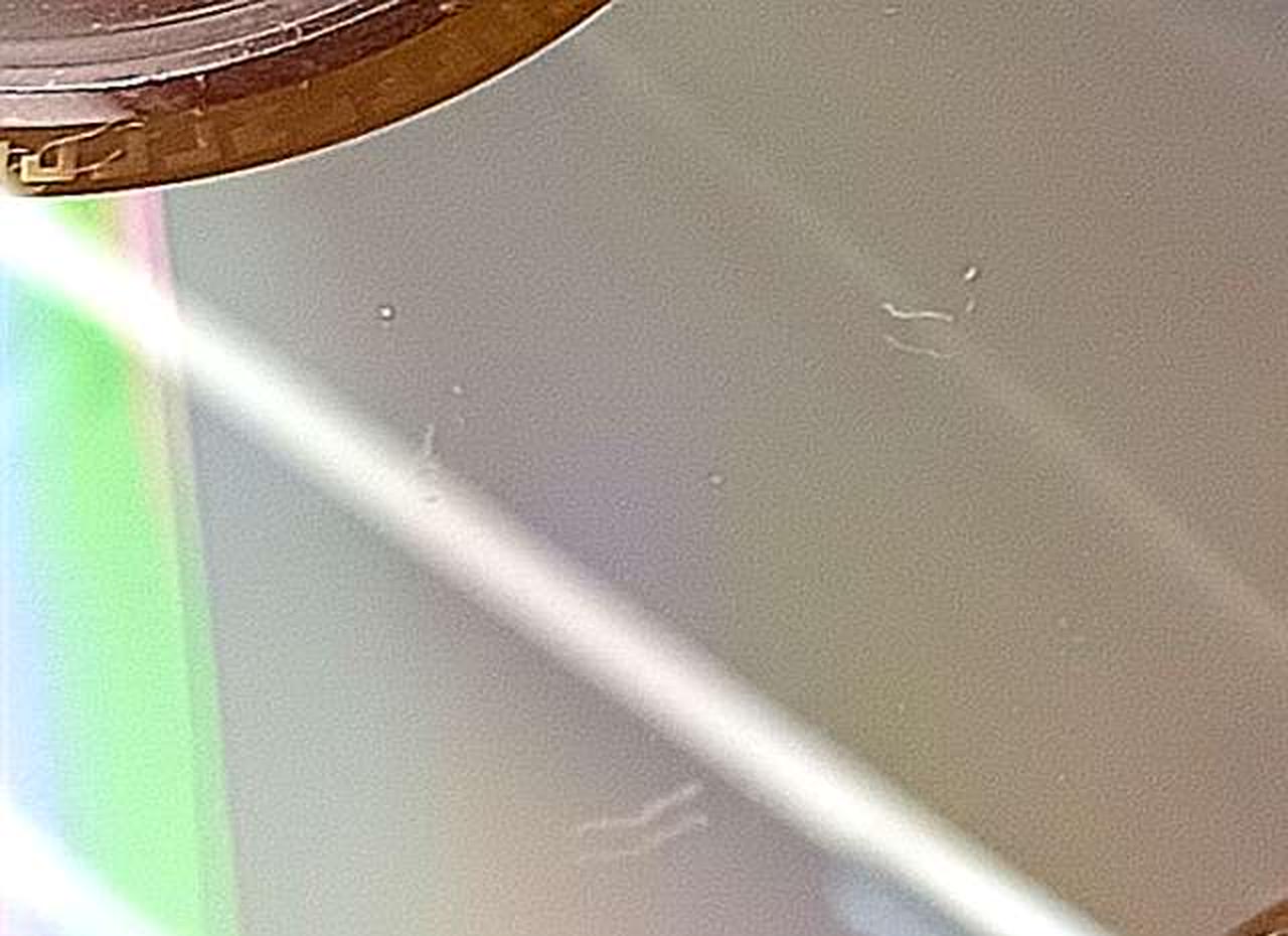 ディスク傷み有