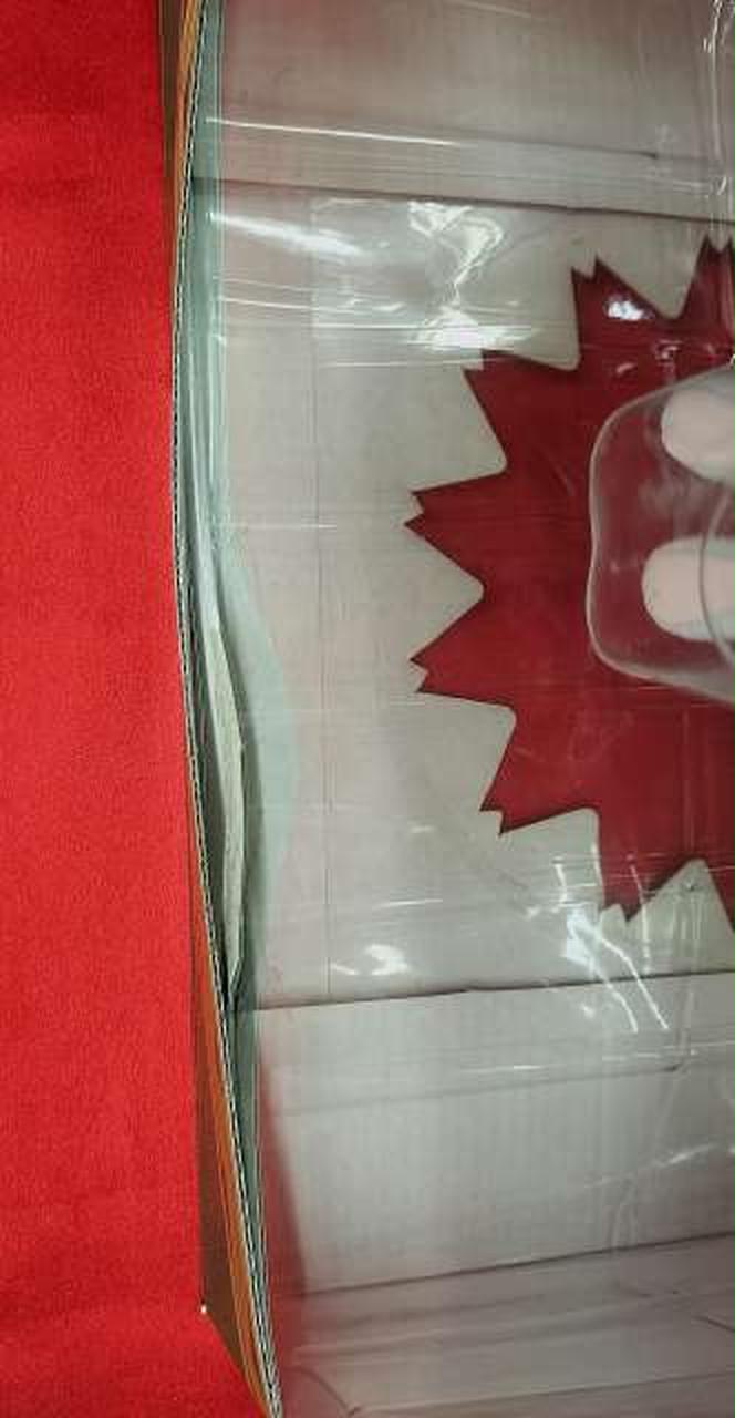 外箱ブリスター?がれあり