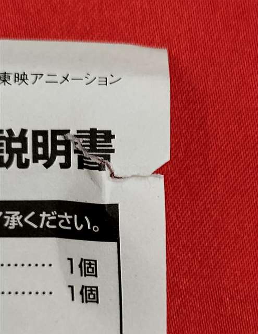 説明書破れあり