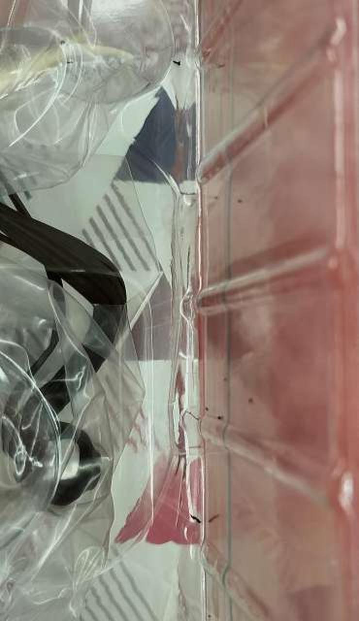 ブリスター内汚れあり