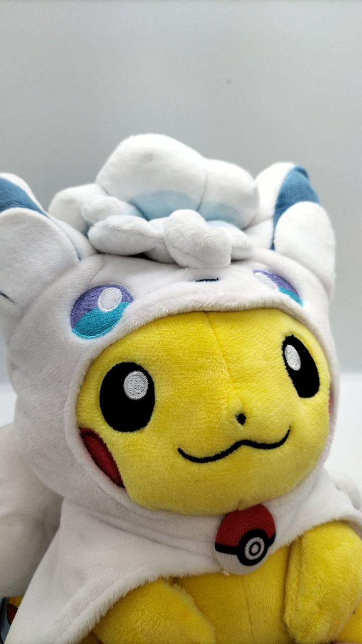 アローラロコンポンチョのピカチュウ　ぬいぐるみ　限定品　ポケモンセンター アローラロコンポンチョのピカチュウ ぬいぐるみ ポケモン