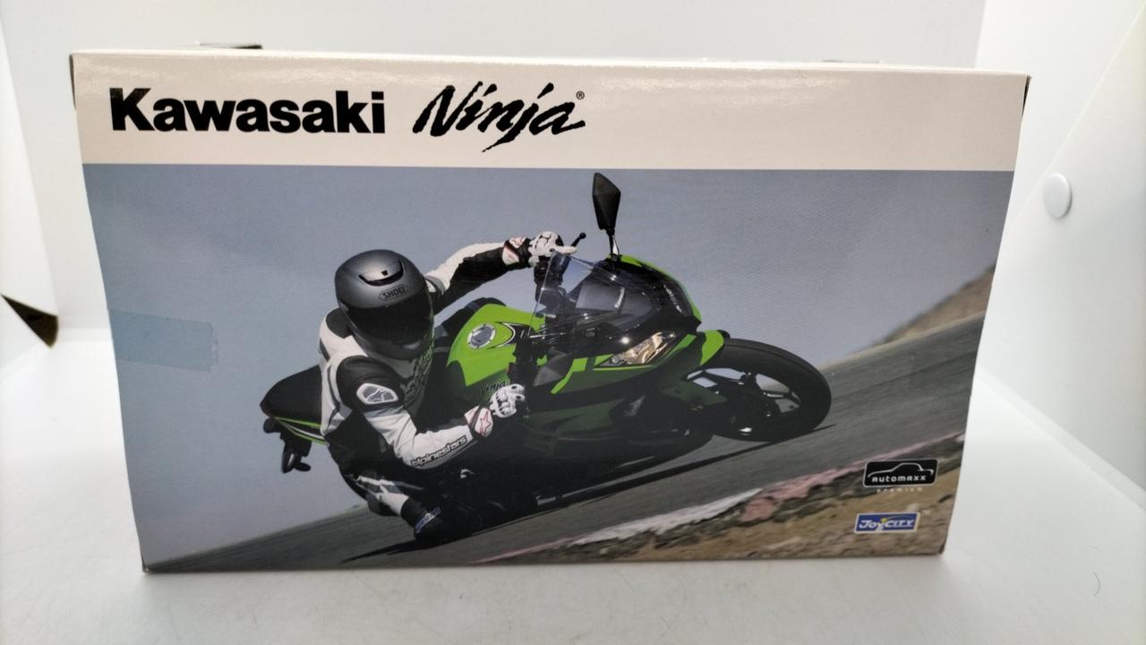 『鮫島』 カスタムオプション差額 AOSHIMA|1/12 KAWASAKI NINJA250 ライムグリーン|HARDOFFオフ