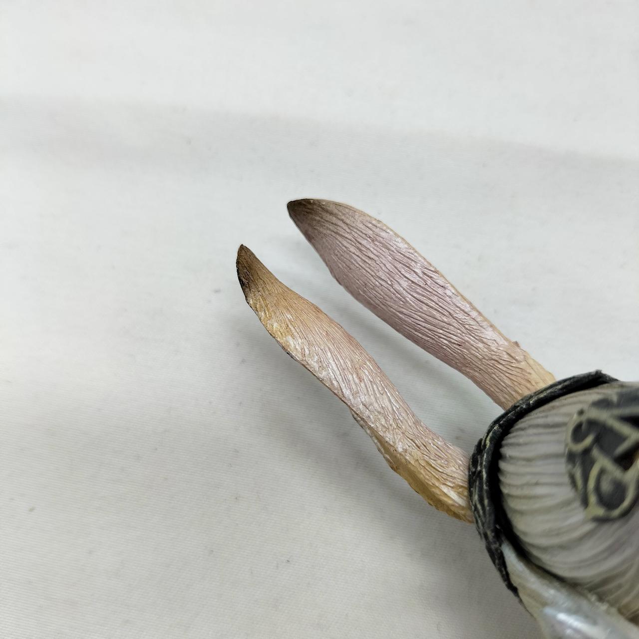 傷みが見られます