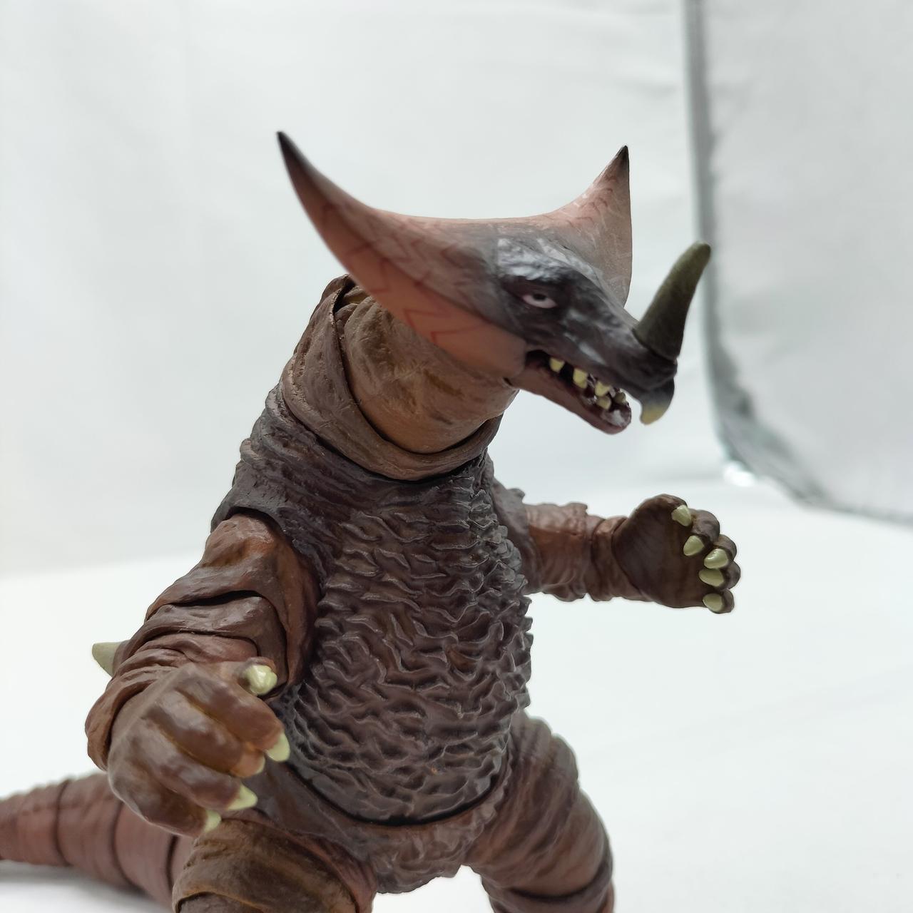 目立った傷みは見られません